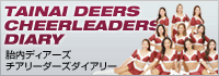 チアリーダーズ・ダイアリー