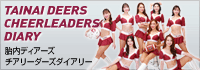 チアリーダーズ・ダイアリー