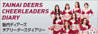 チアリーダーズ・ダイアリー