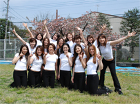 KDC2009ρ[II